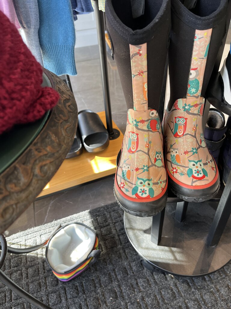 (10) Owl Print Boots