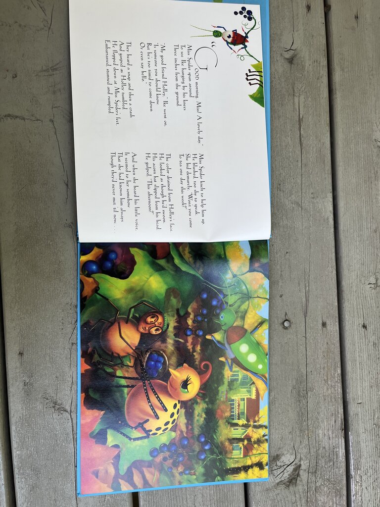 Miss Spider's Wedding