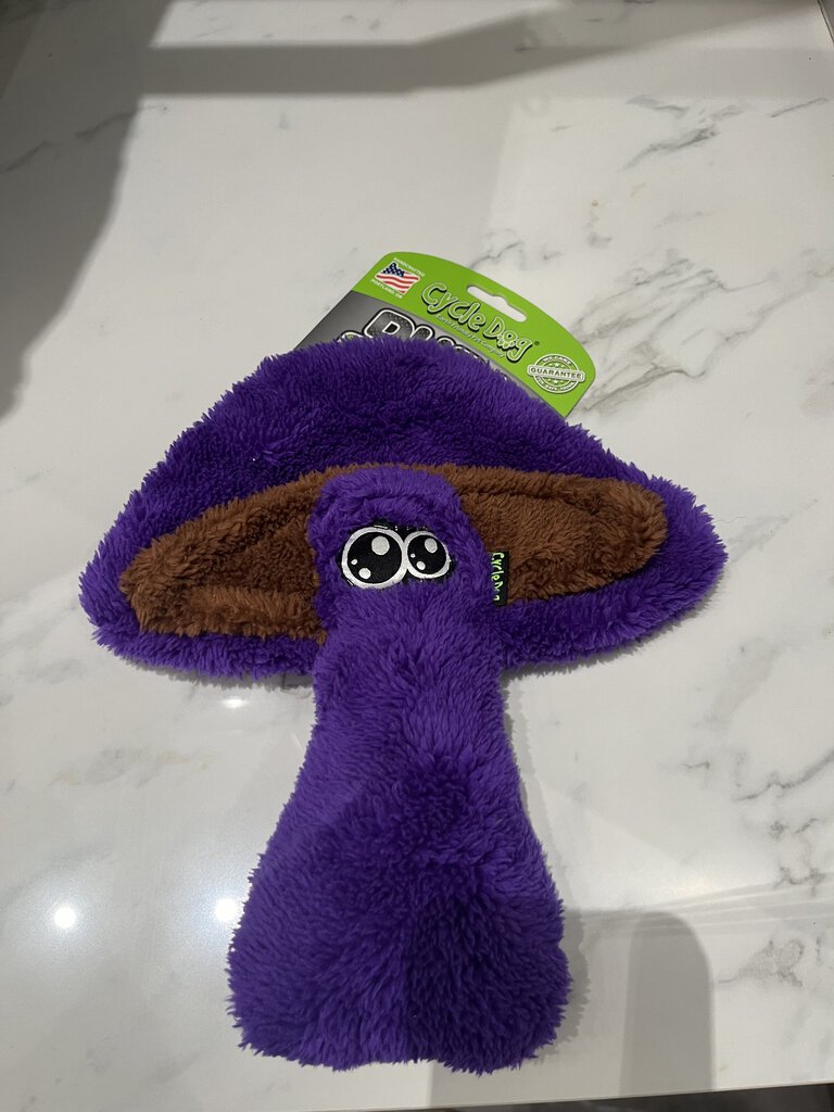 (M) Duraplush Dog Toy