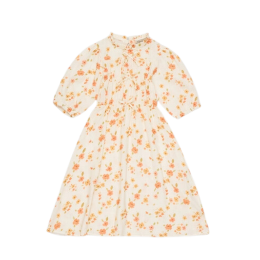(14) Fiorella Flower Print Dress